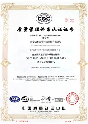 img-382-382 img-382-382