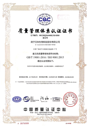 img-382-382 img-382-382