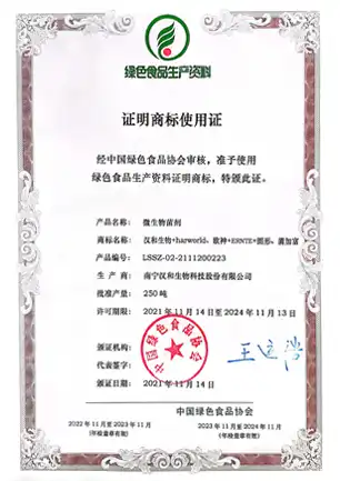 img-382-382 img-382-382