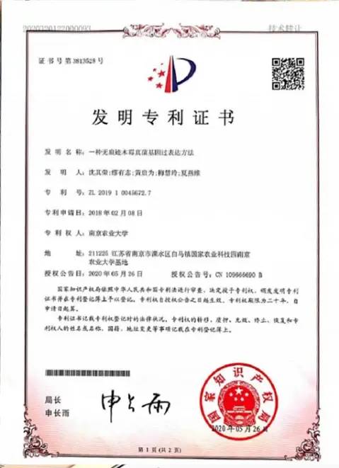 Invention Patent Certificate Invention Patent Certificate