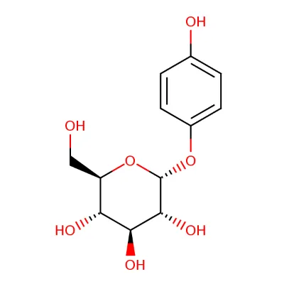 What is Akkermansia muciniphila Good For?
