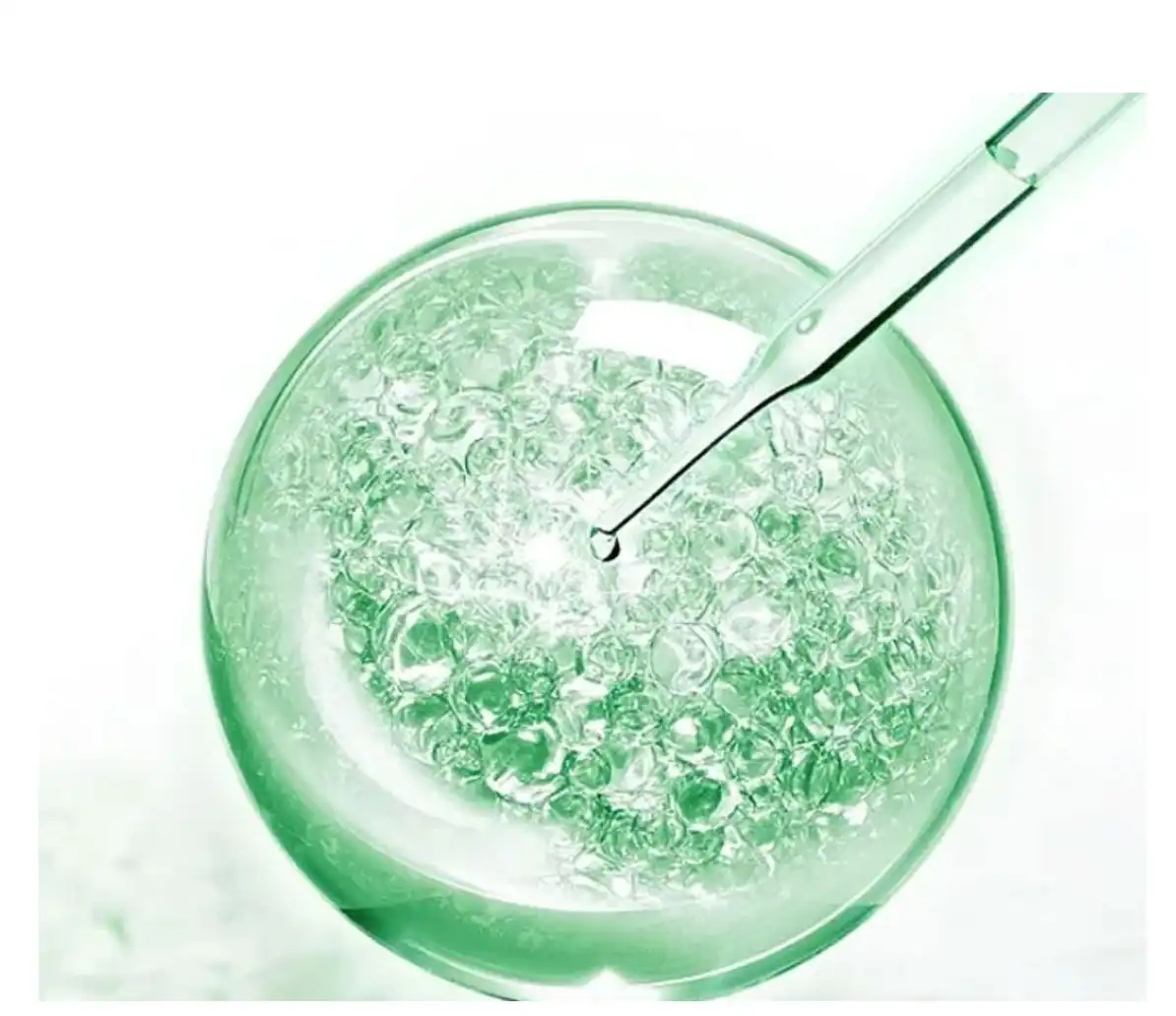 What anti-inflammatory compounds exist in Saccharomyces Cerevisiae Extract?